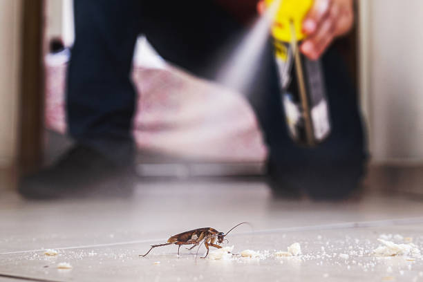 Best Mosquito Control Services  in Dayton, OH